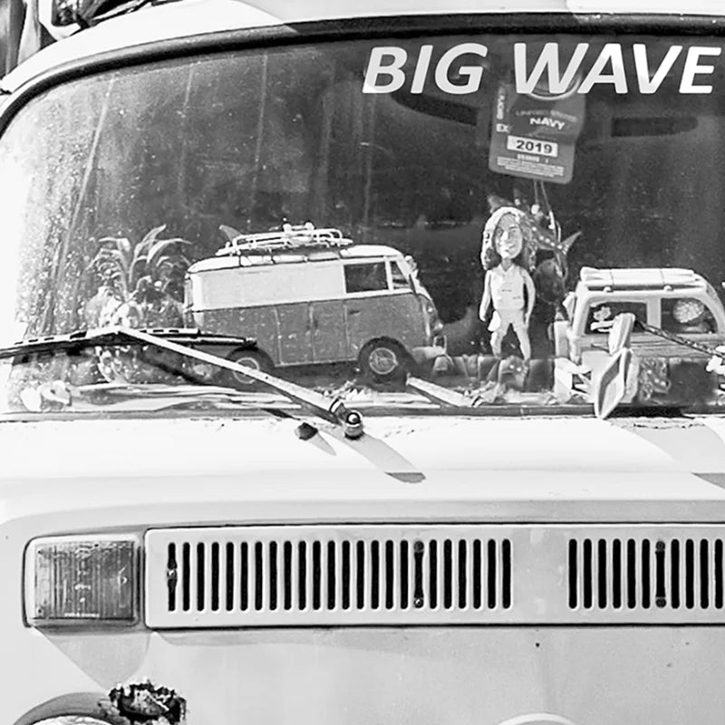 Affiche en toile VAN PALM