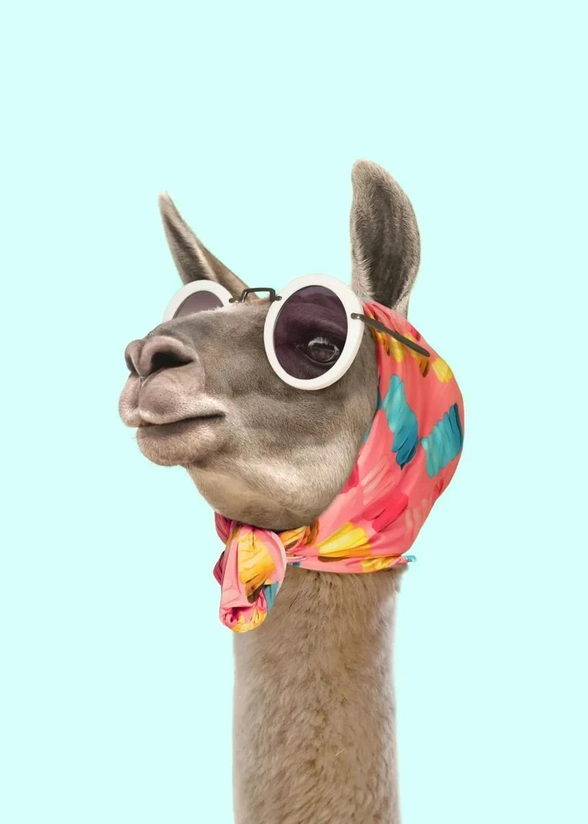 Affiche en toile "ANIMAUX EN FÊTE"