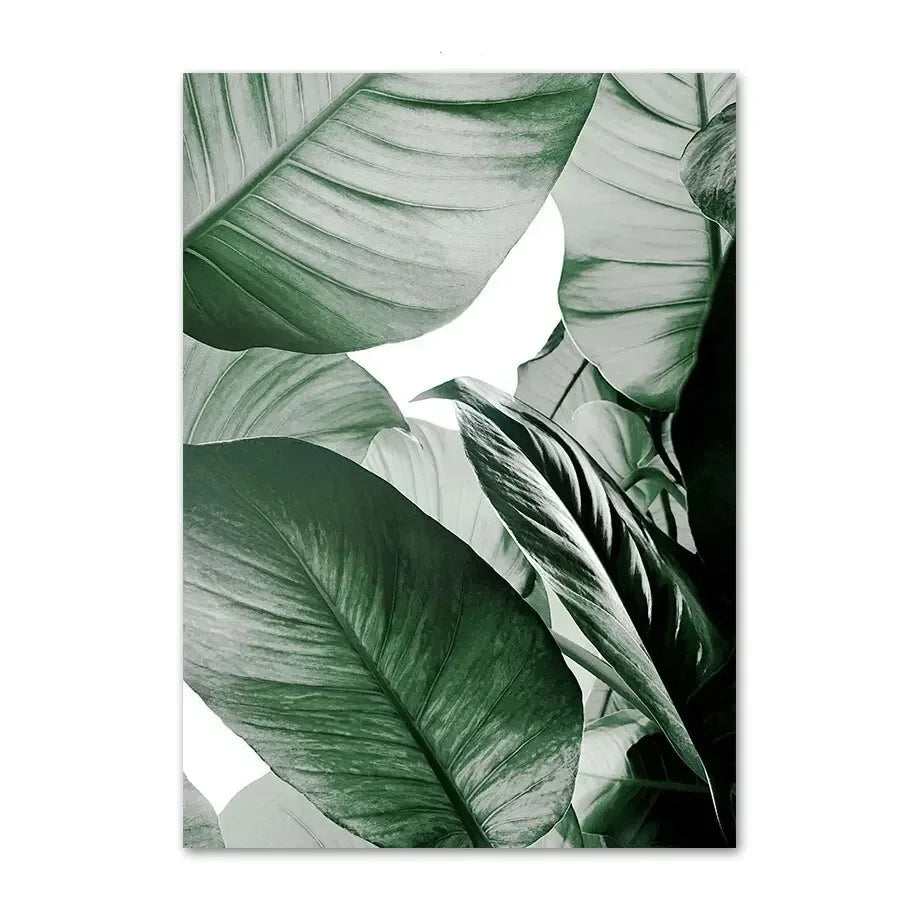 Affiche en toile PLANTES AGAVE MONSTERA