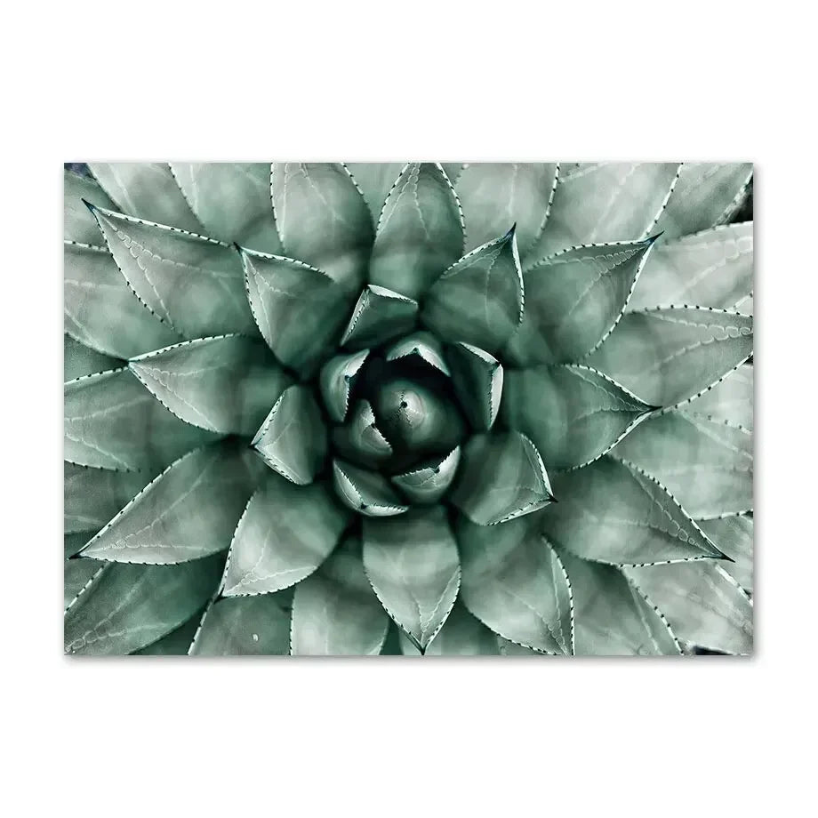 Affiche en toile PLANTES AGAVE MONSTERA
