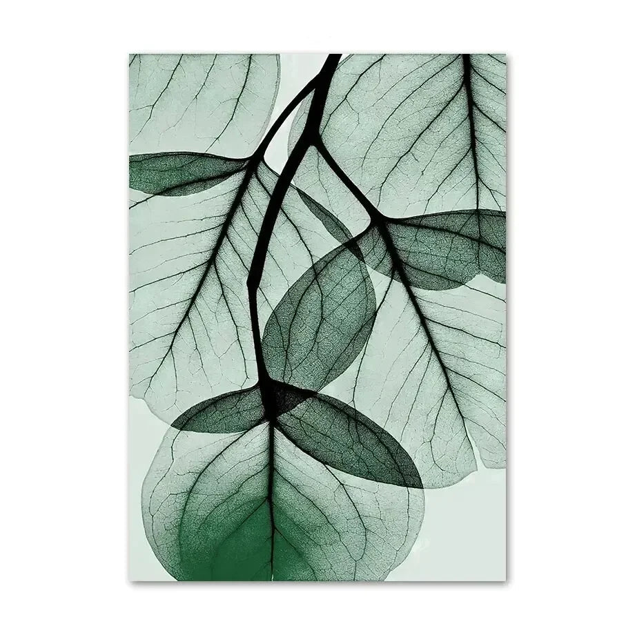 Affiche en toile PLANTES AGAVE MONSTERA