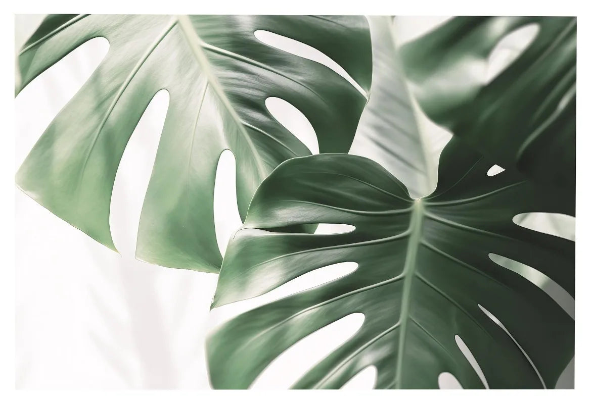 Affiche en toile FORET TROPICALE ANIMAL