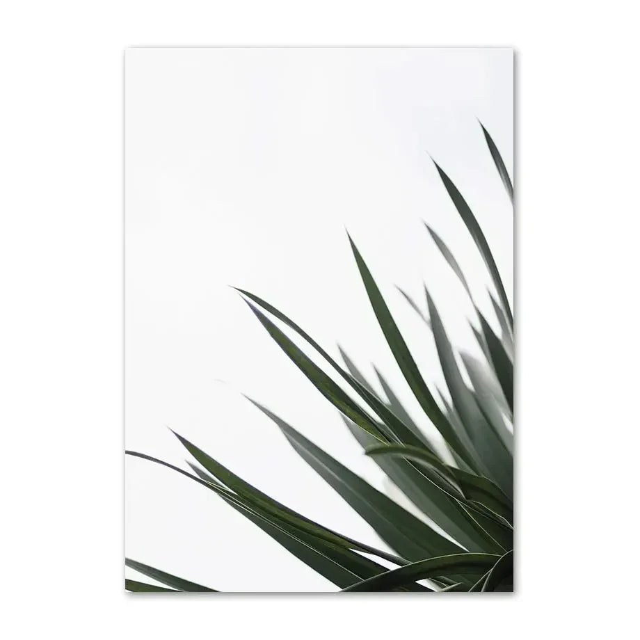 Affiche en toile PLANTES AGAVE MONSTERA