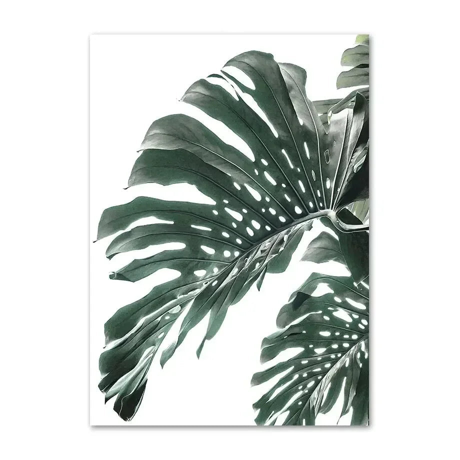 Affiche en toile PLANTES AGAVE MONSTERA