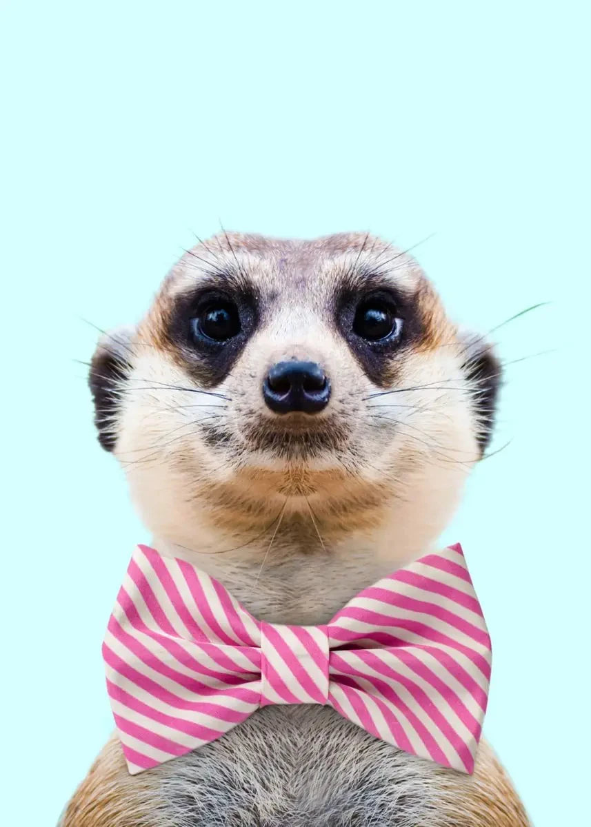 Affiche en toile "ANIMAUX EN FÊTE"