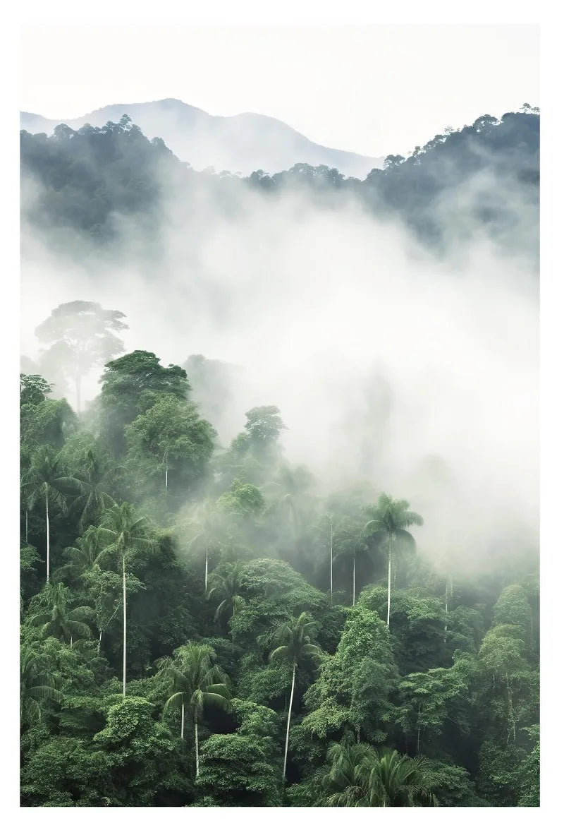 Affiche en toile FORET TROPICALE ANIMAL
