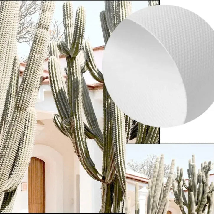 Affiche en toile TROPICAL PLANT CACTUS