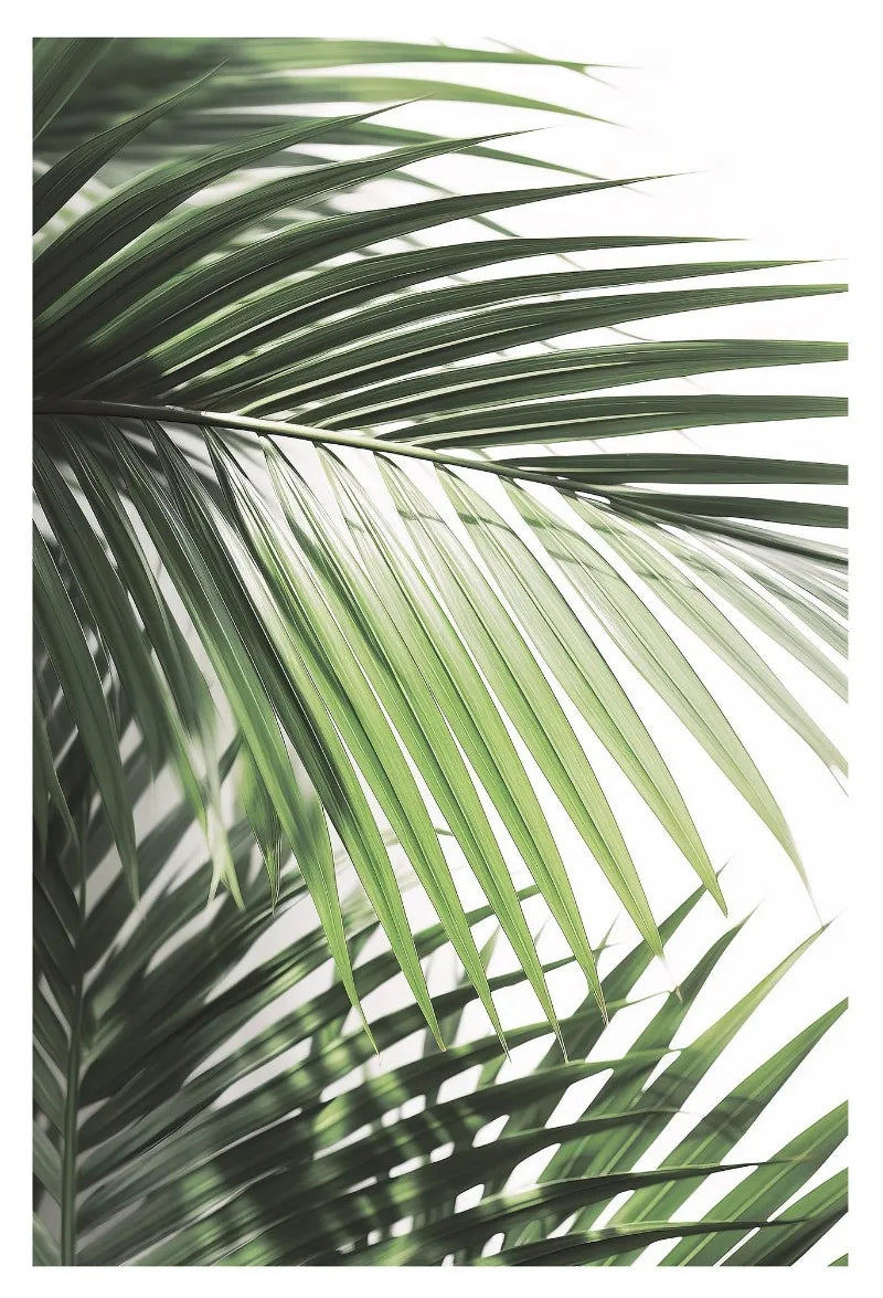 Affiche en toile FORET TROPICALE ANIMAL