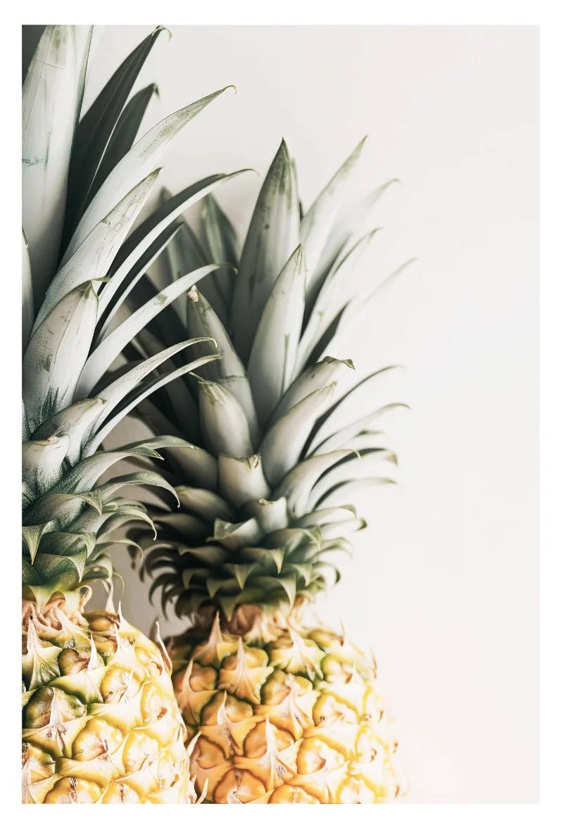 Affiche en toile FORET TROPICALE ANIMAL