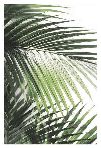 Affiche en toile FORET TROPICALE ANIMAL